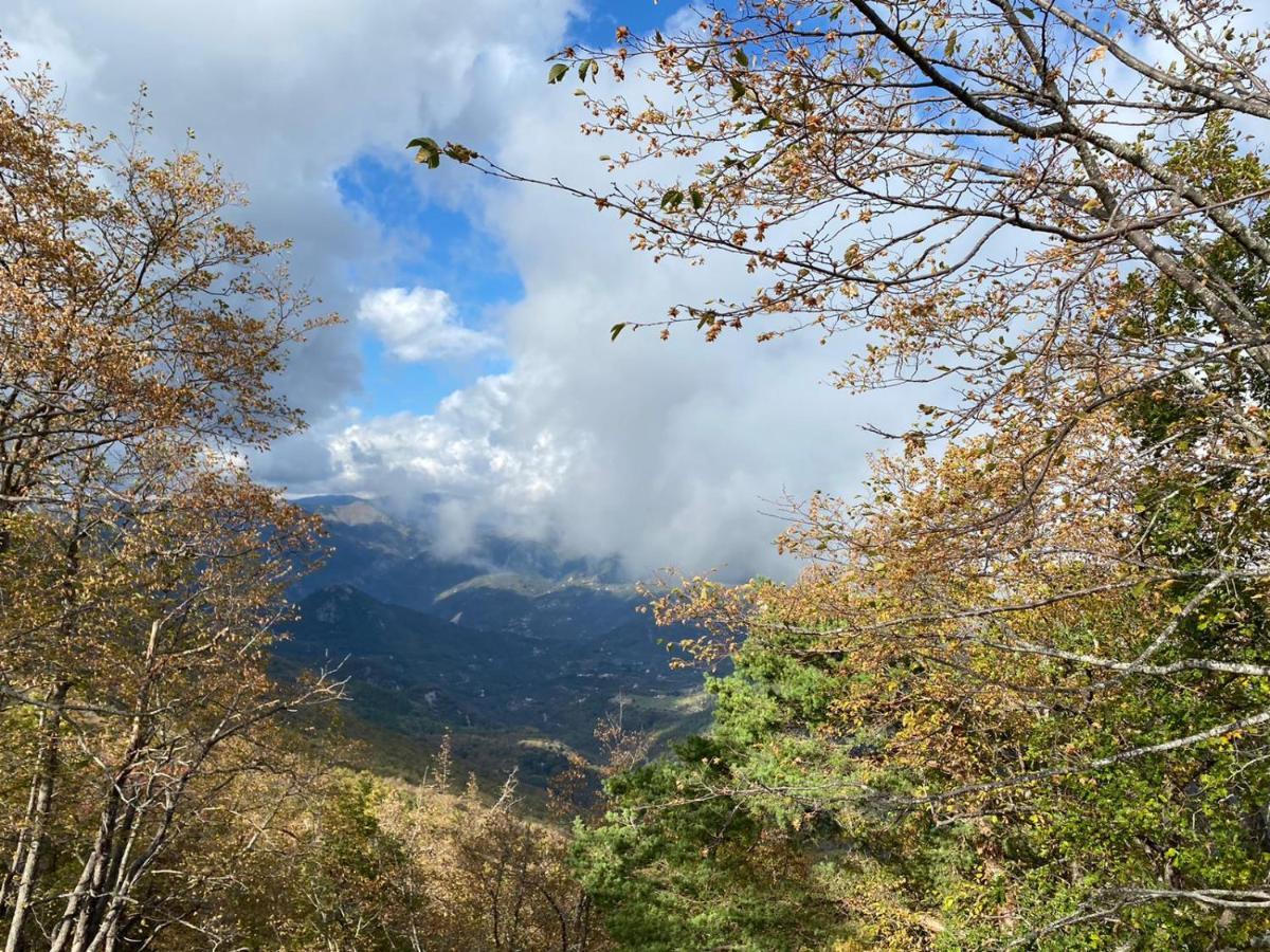 Agriturismo Vecchio Frantoio Villatella Luaran gambar