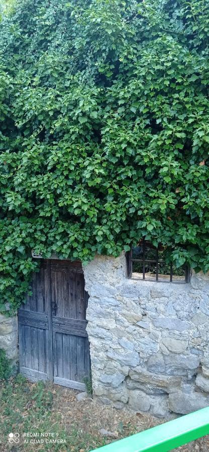 Agriturismo Vecchio Frantoio Villatella Luaran gambar