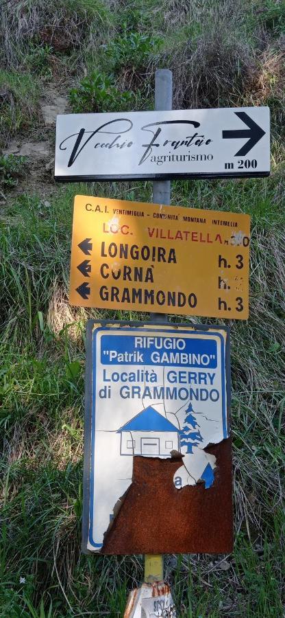 Agriturismo Vecchio Frantoio Villatella Luaran gambar