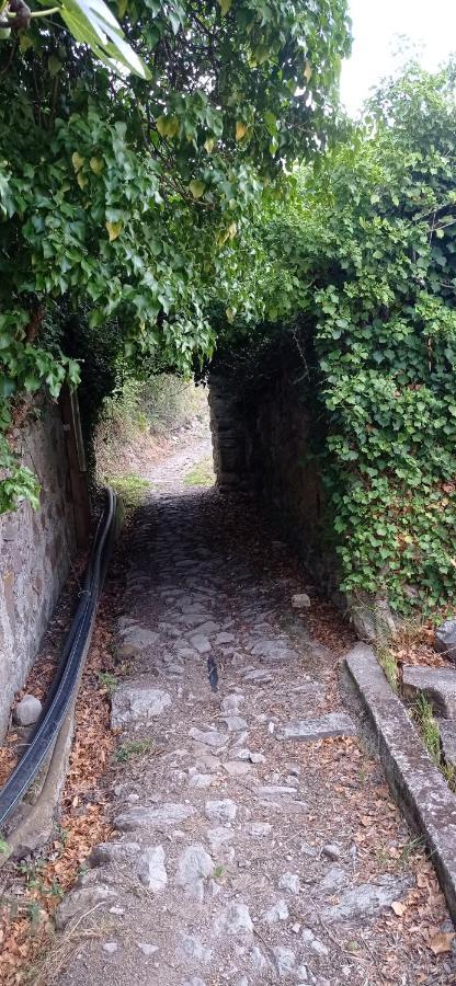 Agriturismo Vecchio Frantoio Villatella Luaran gambar